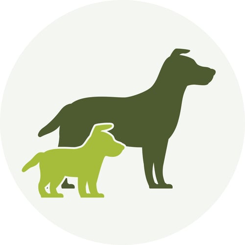 How Long Should I Walk My Dog For? Appropriate Exercise for Dogs